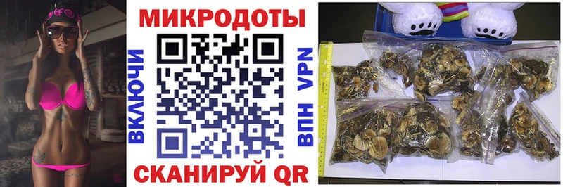 Галлюциногенные грибы MAGIC MUSHROOMS Касимов