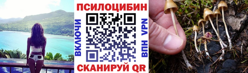 KRAKEN сайт  Касимов  Псилоцибиновые грибы Magic Shrooms 